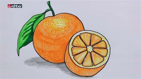 portakal resmi nasıl çizilir